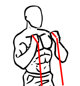 チューブハンマーカール 種目解説 男女共用 上腕二頭筋長頭のゴムバンド筋トレ 公式 公益社団法人 日本パワーリフティング協会